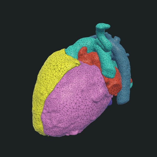 Access and interact with Elucis-built, patient-specific 3D anatomical models