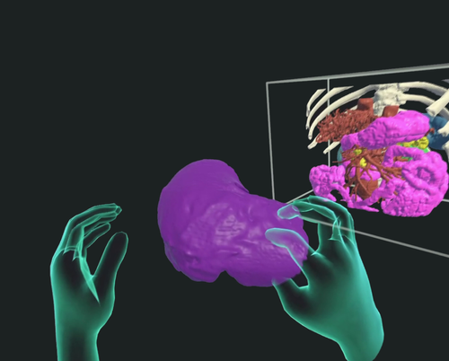Engage directly with anatomical models in a natural, hands-on way