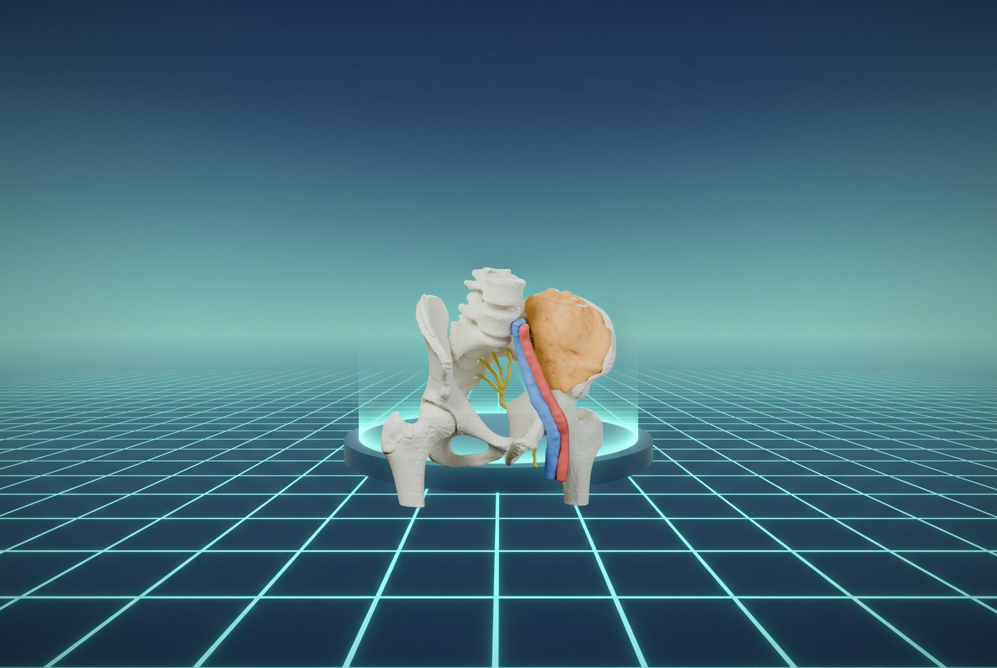 What you see in VR: the pelvis model on a glowing platform in a virtual room with a grid floor. No desk, no real room.